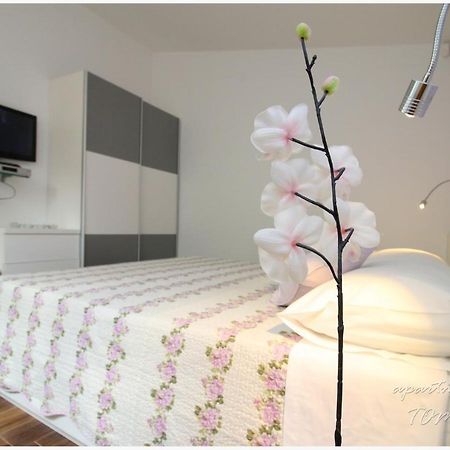 Apartments Tomas Primošten Zewnętrze zdjęcie